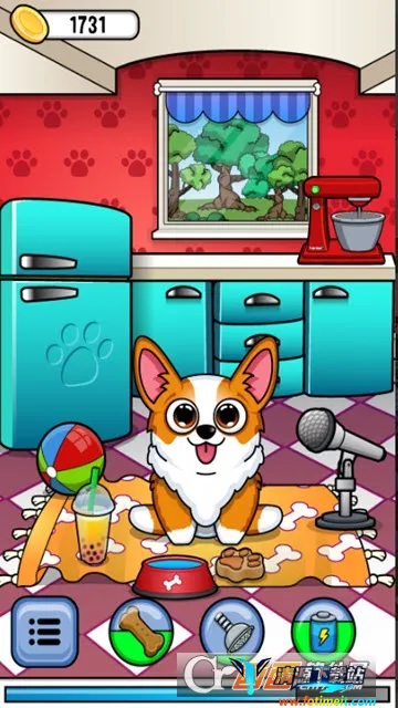 corgi�»�app����