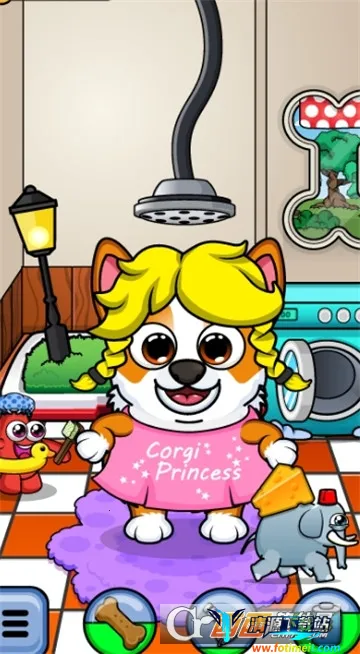 corgi�»�app����