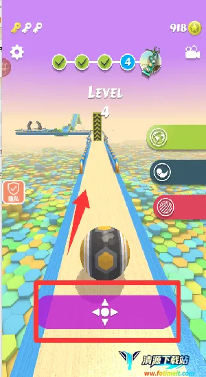 ָ������