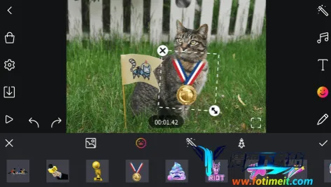 ��������