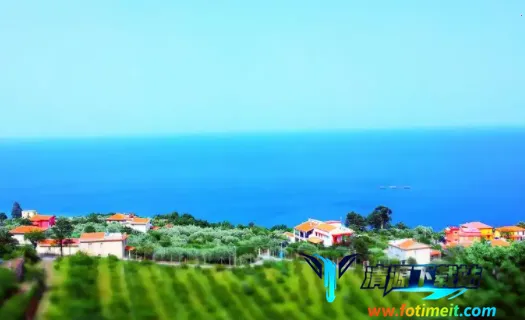 B12�����׿���ֻ���