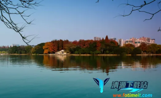 B12�����׿���ֻ���