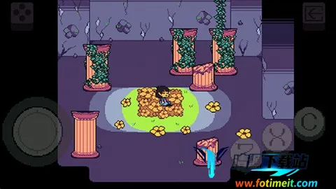 ������˵