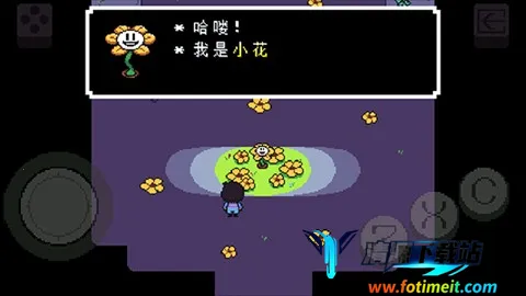 ������˵���İ�