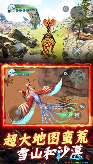 ����һ�ŵ�