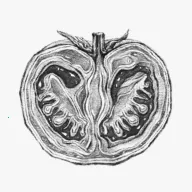 θ֮��2026�ٷ�����