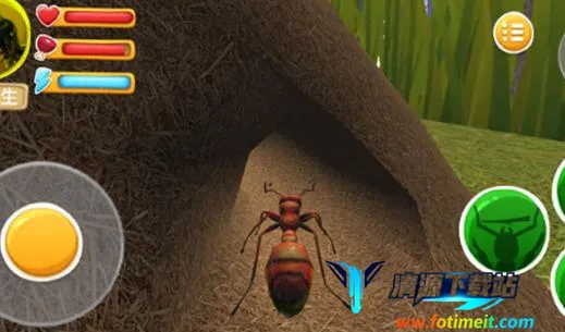 ���ϲ���