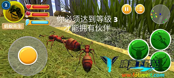 ���ϲ���