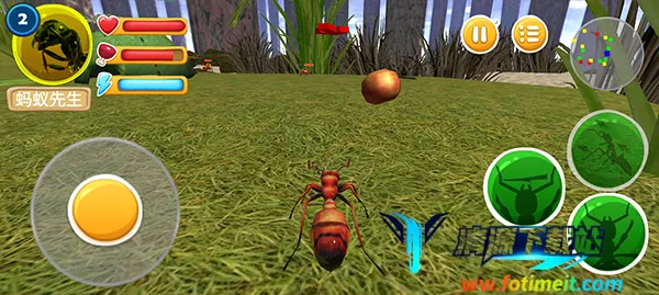 ���ϲ���