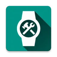 WearOS ������