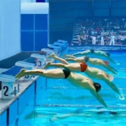 ģ����Ӿ��׿���ֻ���