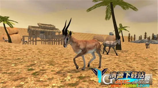 猎人弓箭大师 猎人弓箭大师