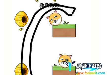 我的狗狗 我的狗狗