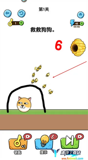 我的狗狗 我的狗狗