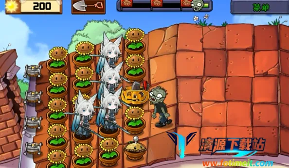 飞宵大战僵尸 飞宵大战僵尸