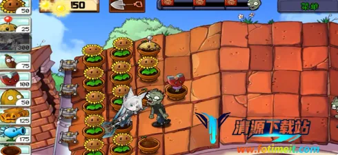 飞宵大战僵尸 飞宵大战僵尸