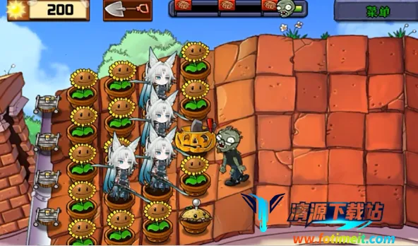 飞宵大战僵尸 飞宵大战僵尸