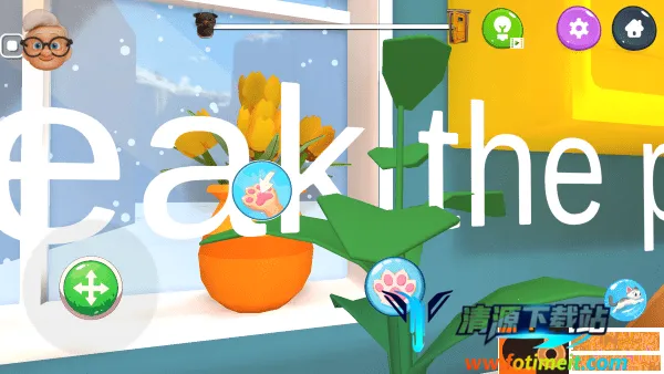 ��è�����������ֻ���