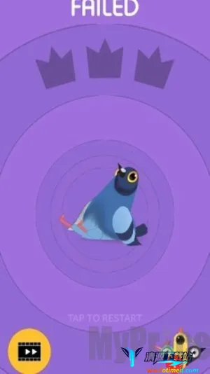 pigeon鸽子安卓版手机版 pigeon鸽子安卓版手机版