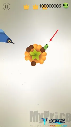 pigeon鸽子安卓版手机版 pigeon鸽子安卓版手机版