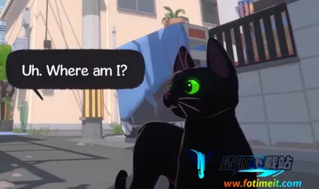 ֻ��ֻСè��