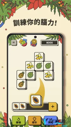 ��������2026�ٷ�����