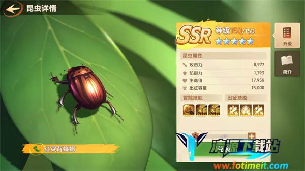 СС�Ҵ����ƽ��