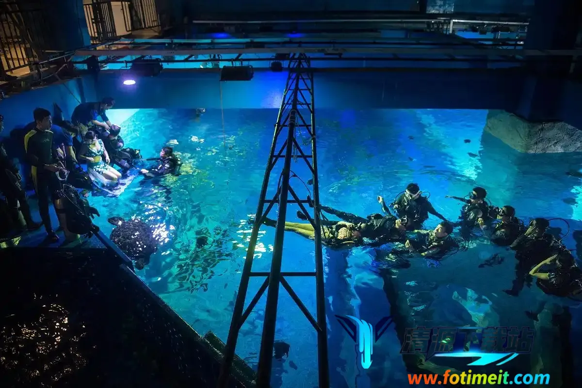 ��Ժ��ֻ���