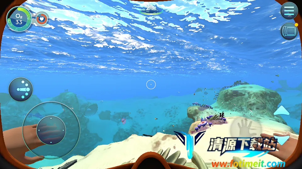 ��Ժ��ֻ���