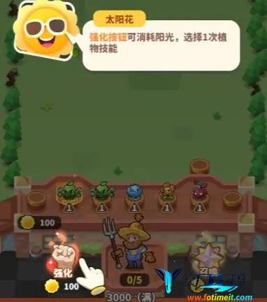 ֲ���ȶ�2026�ٷ�����