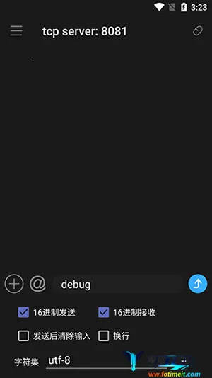 NetAssist�������