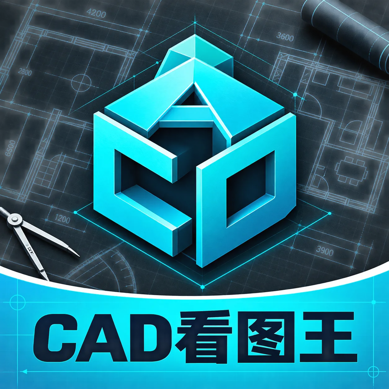 CADͼֽ��ͼ��