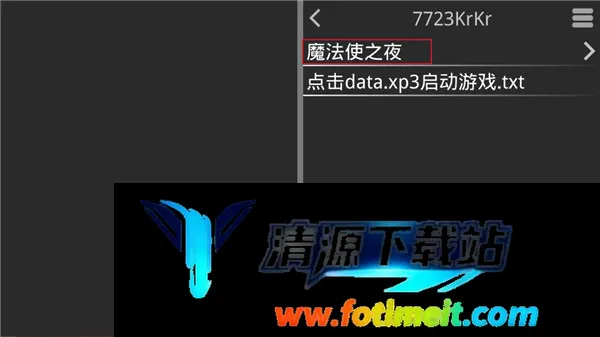 魔法使之夜直装版