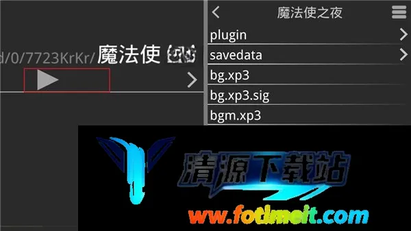 魔法使之夜直装版