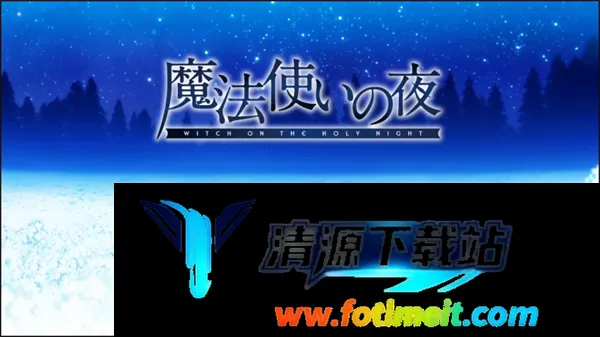 魔法使之夜直装版