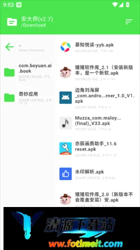 安大师浏览器