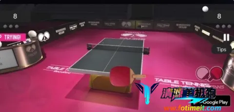 ��ʵƹ����(ƹ����ģ����Ϸ)