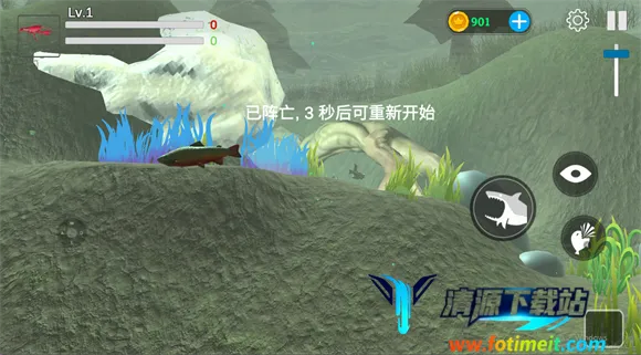 ���״���ɱ��������