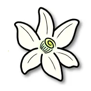 �Ȼ�ģ����2026�ٷ�����