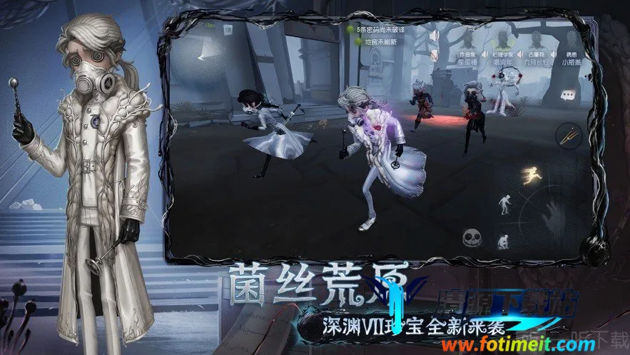 �Ƶ����˸�����2026�ٷ�����