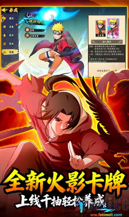 �����ػ����2026�ٷ�����