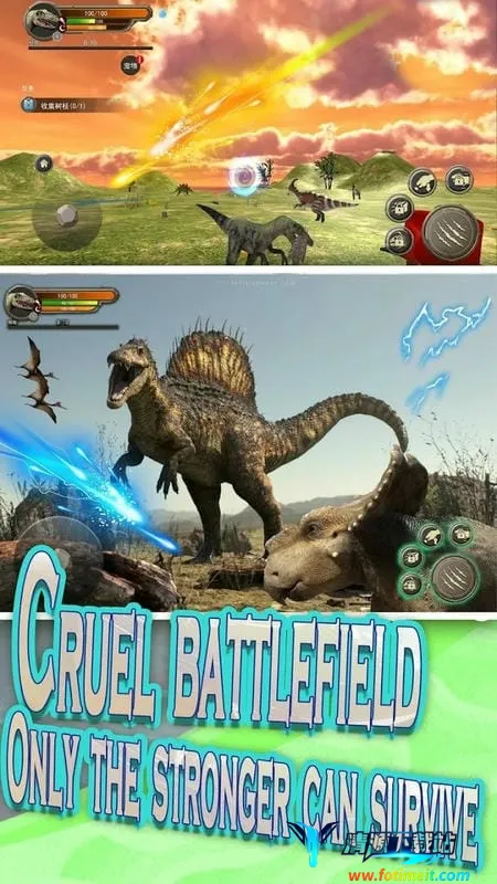 ������������İ�����