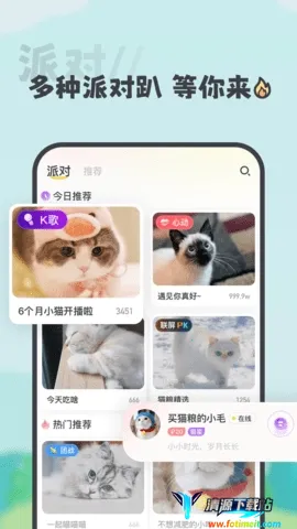 喵丸2026官方最新版本 喵丸2026官方最新版本