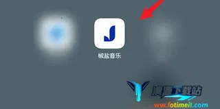 椒盐音乐破解版 椒盐音乐破解版