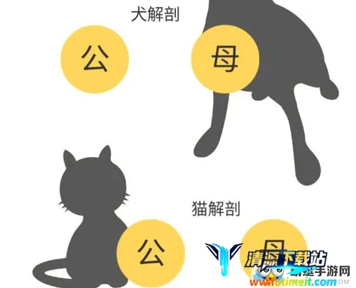 3dbody宠物版免费 3dbody宠物版免费