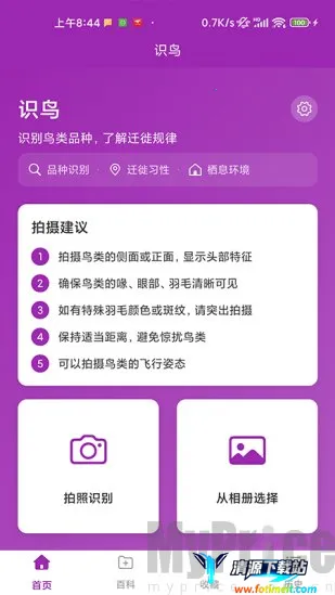 ʶ��(����ʶ�𹤾�)