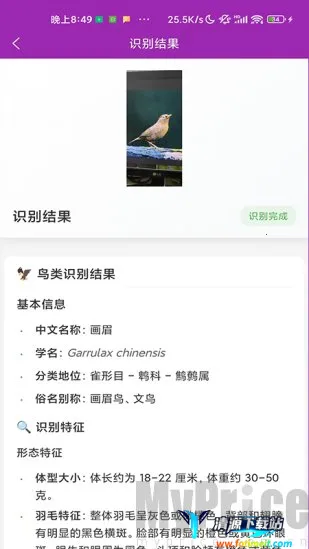 ʶ��(����ʶ�𹤾�)