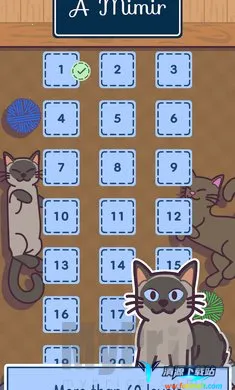 ���׶�(è�������Ϸ)