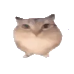 �ͰͲ�һ(�ͰͲ�һƽ̨)