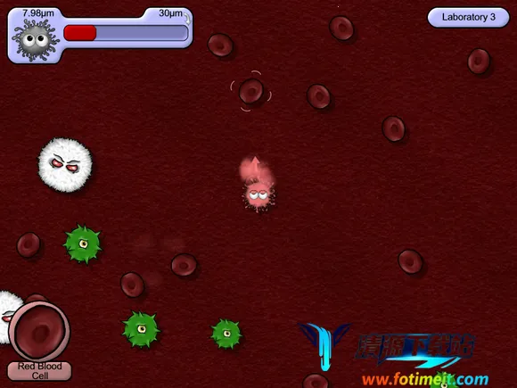 美味星球鲨鱼版 美味星球鲨鱼版